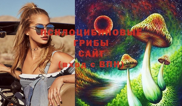 прущие крисы Абаза