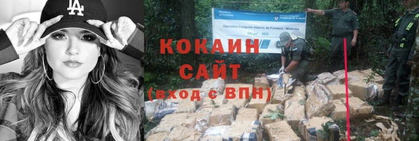 прущие крисы Абаза