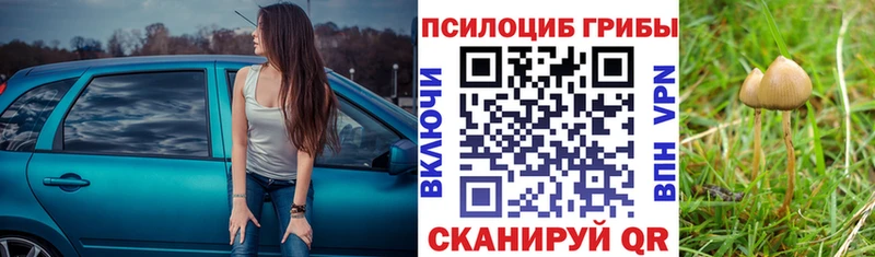 Галлюциногенные грибы Magic Shrooms  Алейск 